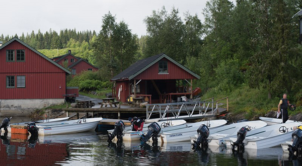 Sløying og frysing av fisk